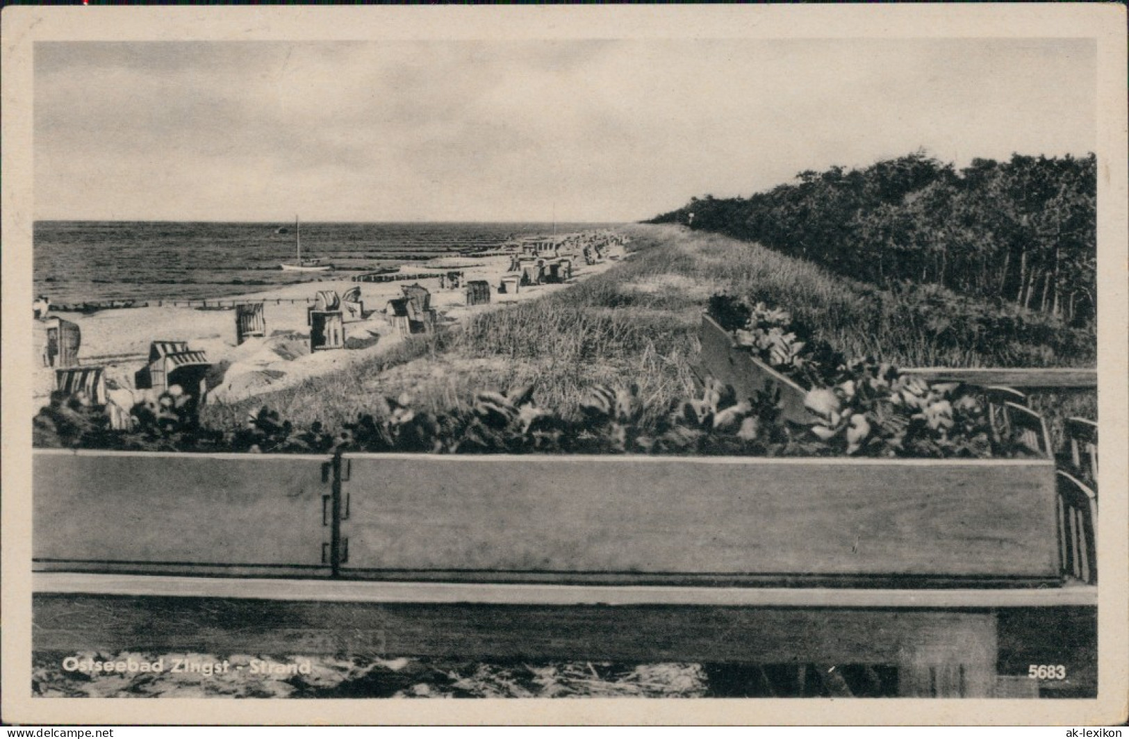 Ansichtskarte Zingst-Darss Strand 1953 - Zingst