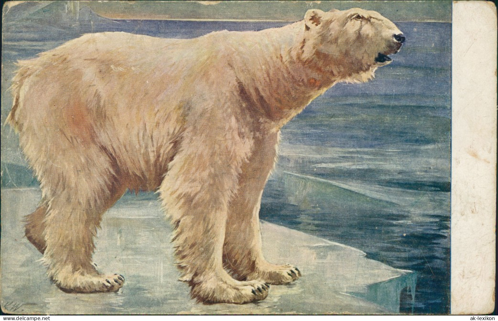 Ansichtskarte  Künstlerkarte V. KW - Eisbär Auf Eisscholle 1909 - Pittura & Quadri