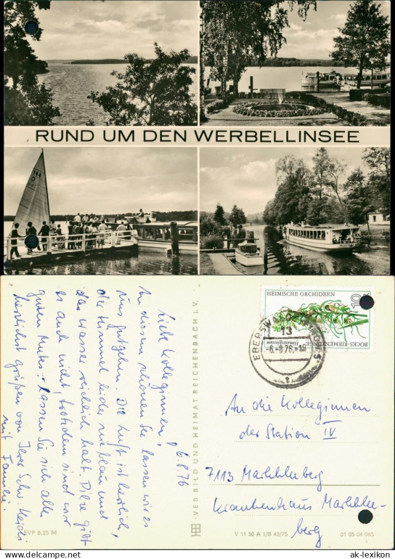 Ansichtskarte Schorfheide Rund Um Den Werbellinsee, Fahrgastschiffe 1975 - Sonstige & Ohne Zuordnung