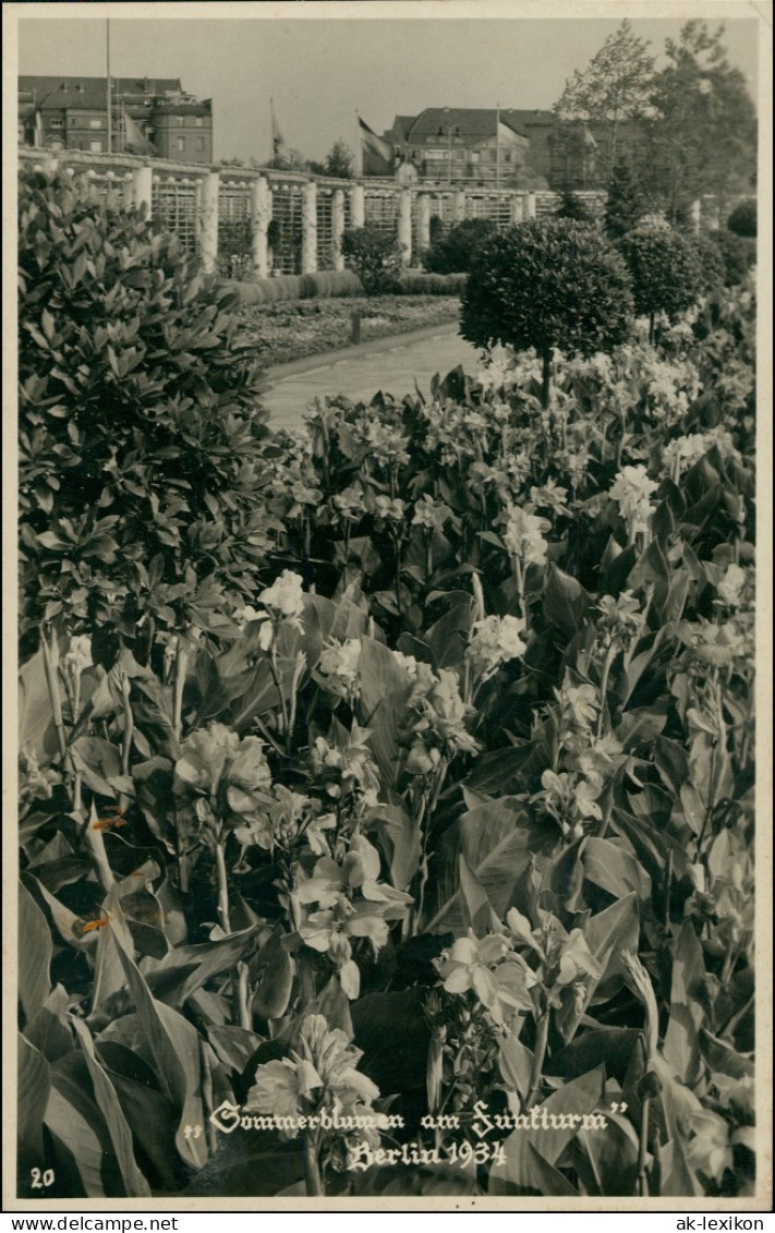 Ansichtskarte Charlottenburg-Berlin Sommerblumen Am Funkturm Häuser 1934 - Charlottenburg