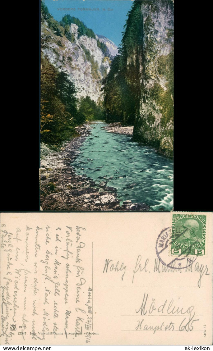 Ansichtskarte  Alpen (Allgemein) Vordere Tormäuer Ybbstaler Alpen 1916/1912 - Unclassified