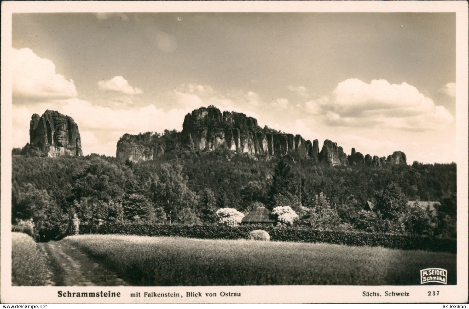 Ansichtskarte Bad Schandau Schrammsteine Mit Falkenstein 1930 - Bad Schandau