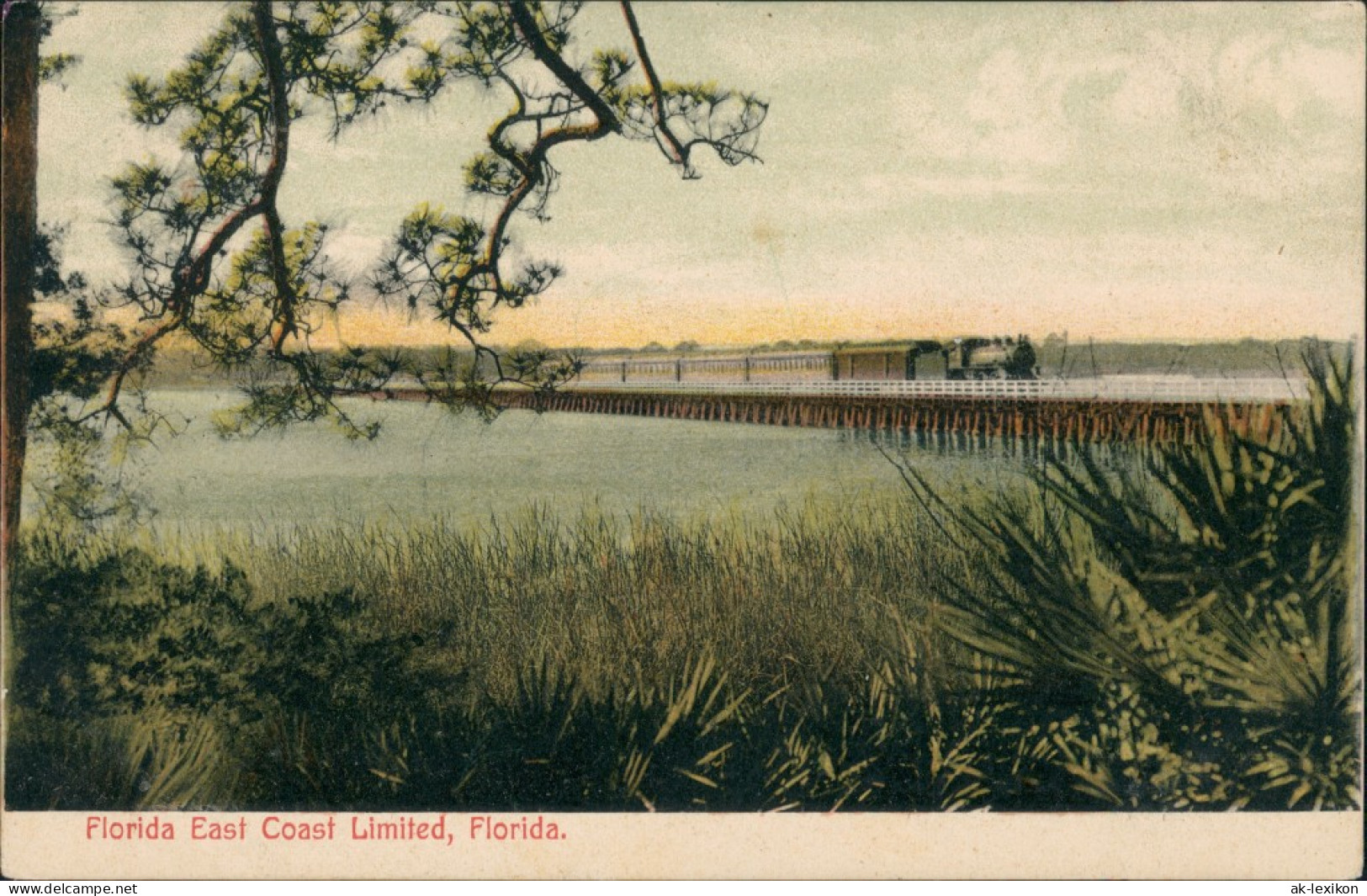 Postcard Florida Eisenbahn, Florida East Coast Limited Railway 1910 - Autres & Non Classés