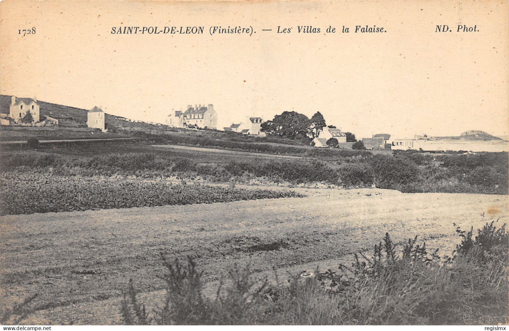 29-SAINT POL DE LEON-N°352-A/0171 - Saint-Pol-de-Léon