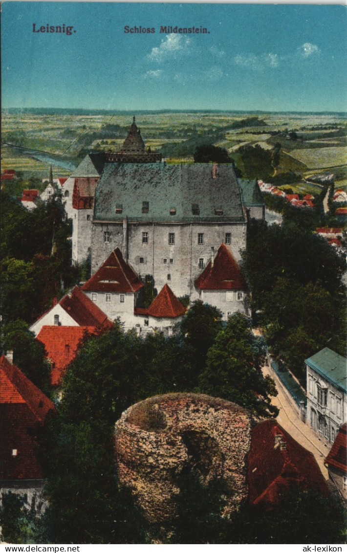 Ansichtskarte Leisnig Blick über Das Schoß 1913 - Leisnig