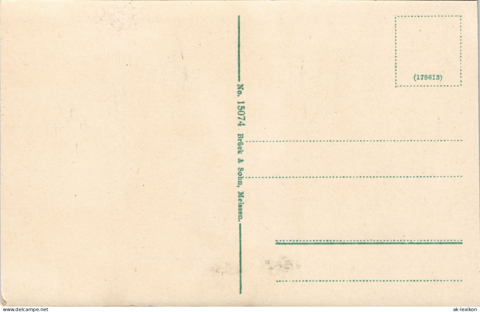 Ansichtskarte Leisnig Blick über Das Schoß 1913 - Leisnig