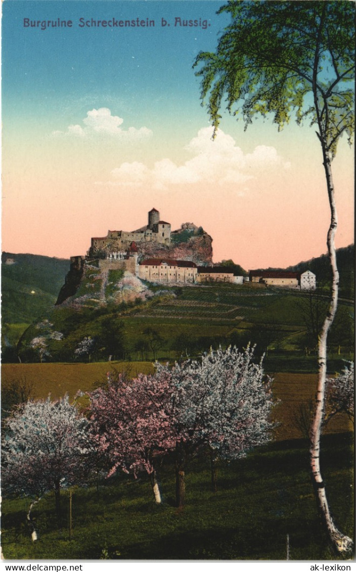 Schreckenstein (Elbe)-Aussig Střekov (Laben) Ústí Nad Labem   Burg  1915 - Czech Republic