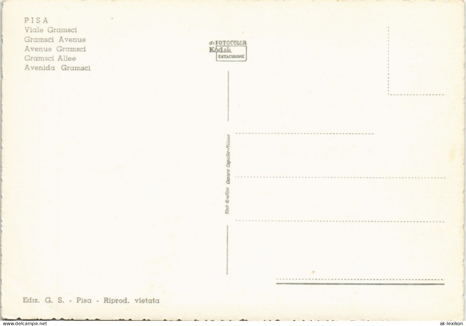 Cartoline Pisa Viale Gramsci Gramsci Avenue 1960 - Otros & Sin Clasificación