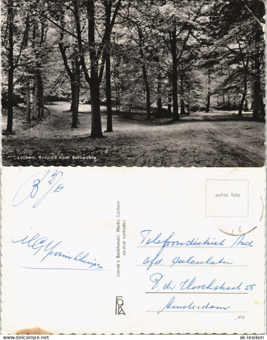 Postkaart Lochem Lochem, Bospad Naar Belvedere 1965 - Sonstige & Ohne Zuordnung