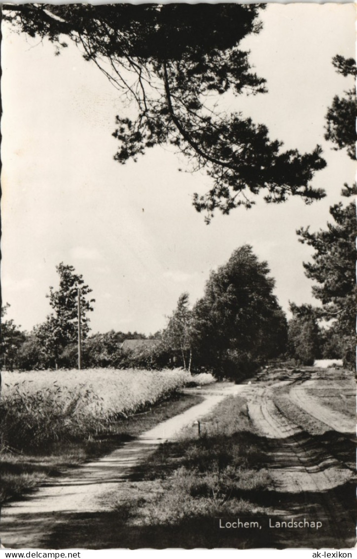 Postkaart Lochem Lochem, Landschap Ortsansicht 1966 - Sonstige & Ohne Zuordnung