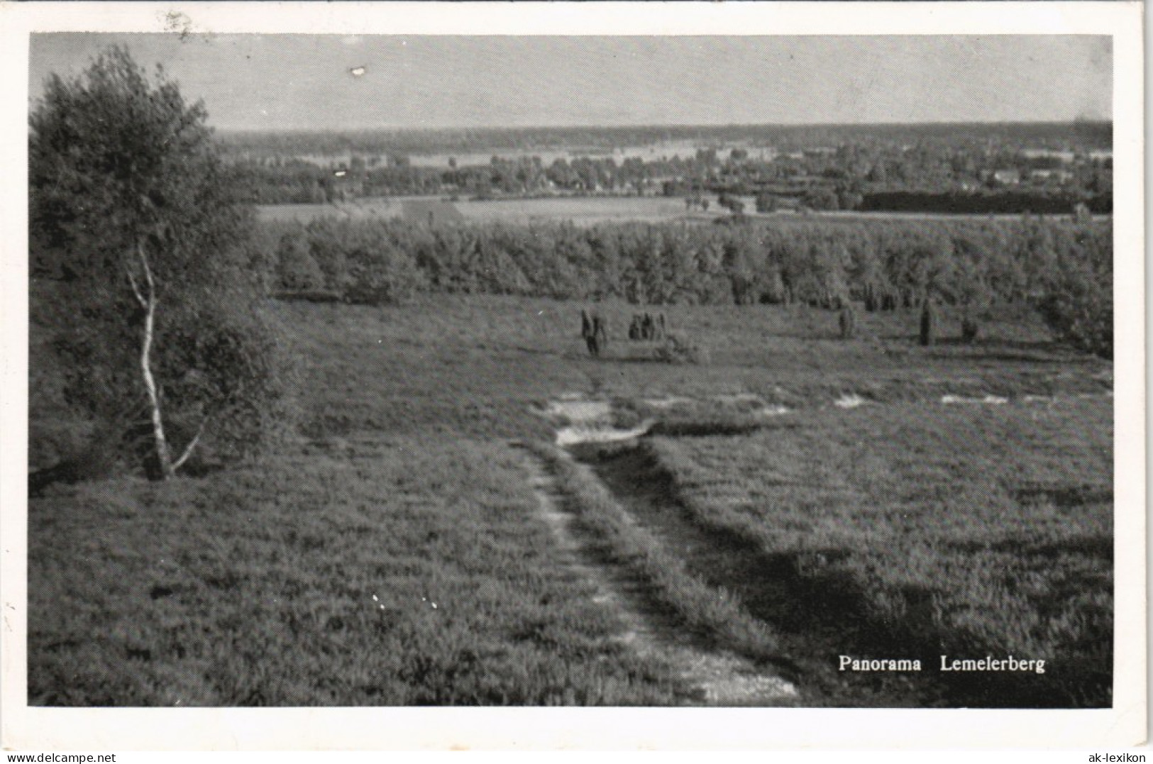 .Niederlande Panorama Lemelerberg Holland Niederlande Landschaft 1960 - Andere & Zonder Classificatie