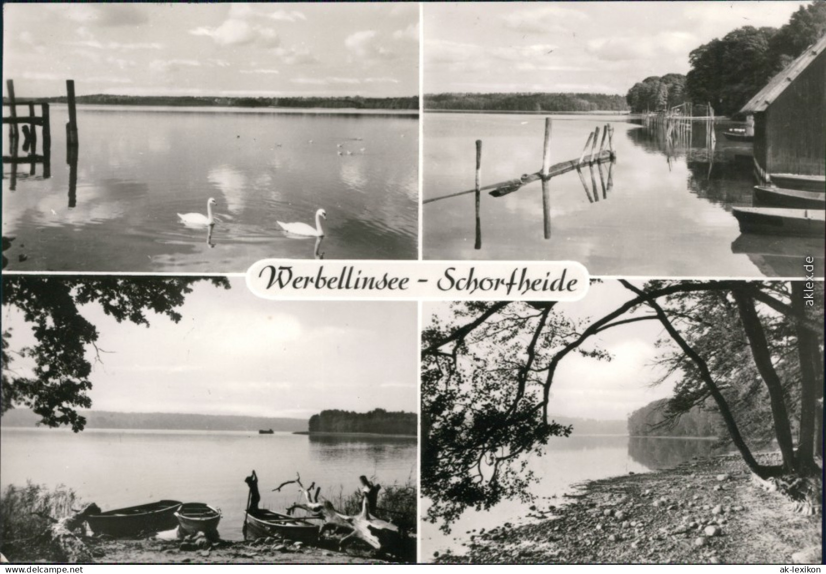 Ansichtskarte Schorfheide See Mit Schwänen, Boote Und Uferbereich G1980 - Andere & Zonder Classificatie