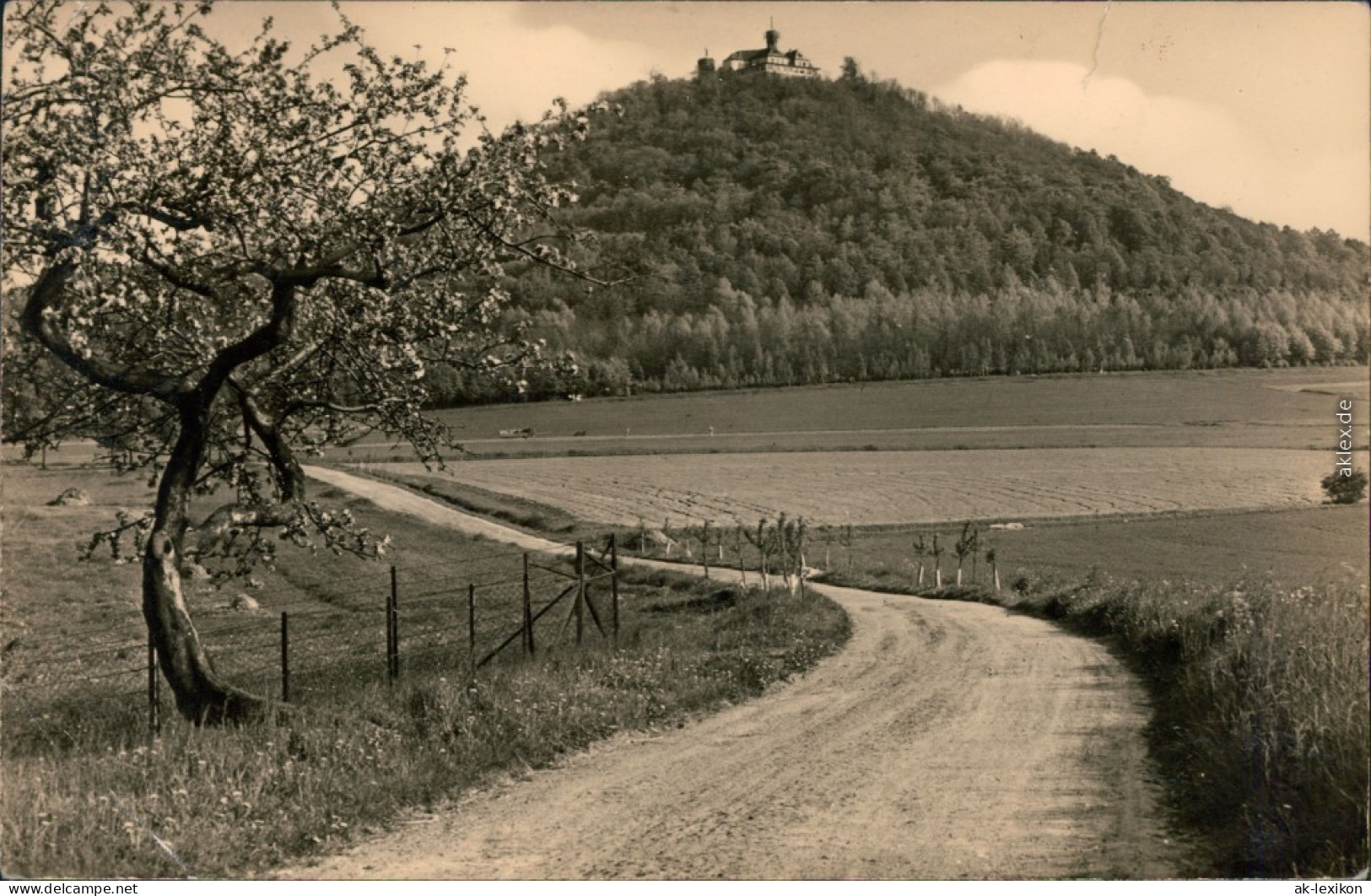 Ansichtskarte Görlitz Zgorzelec Landeskrone 1960 - Goerlitz