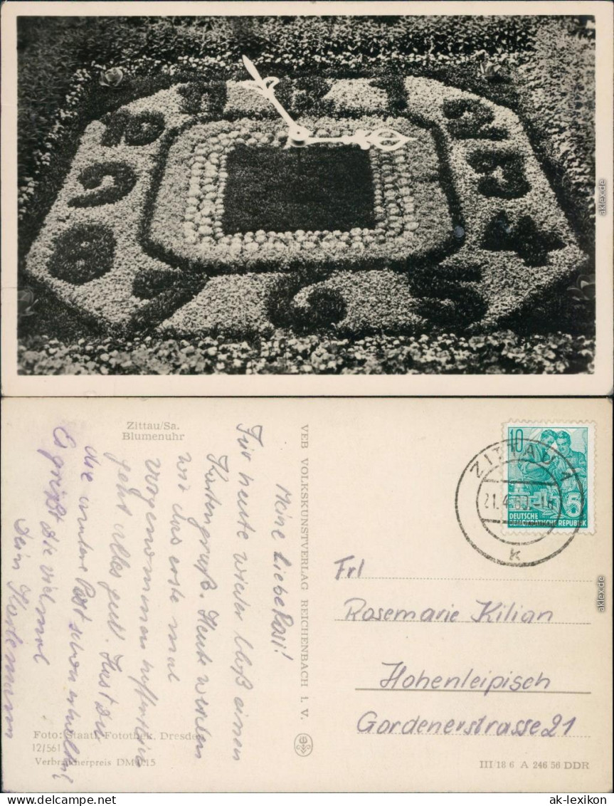 Ansichtskarte Zittau Blumenuhr 1956 - Zittau