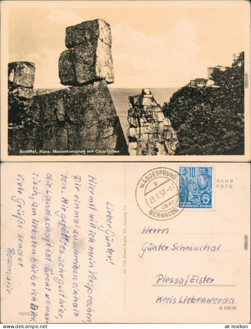 Ansichtskarte Thale (Harz) Hexentanzplatz (Bodetal) Mit Cäsarfelsen 1955 - Sonstige & Ohne Zuordnung