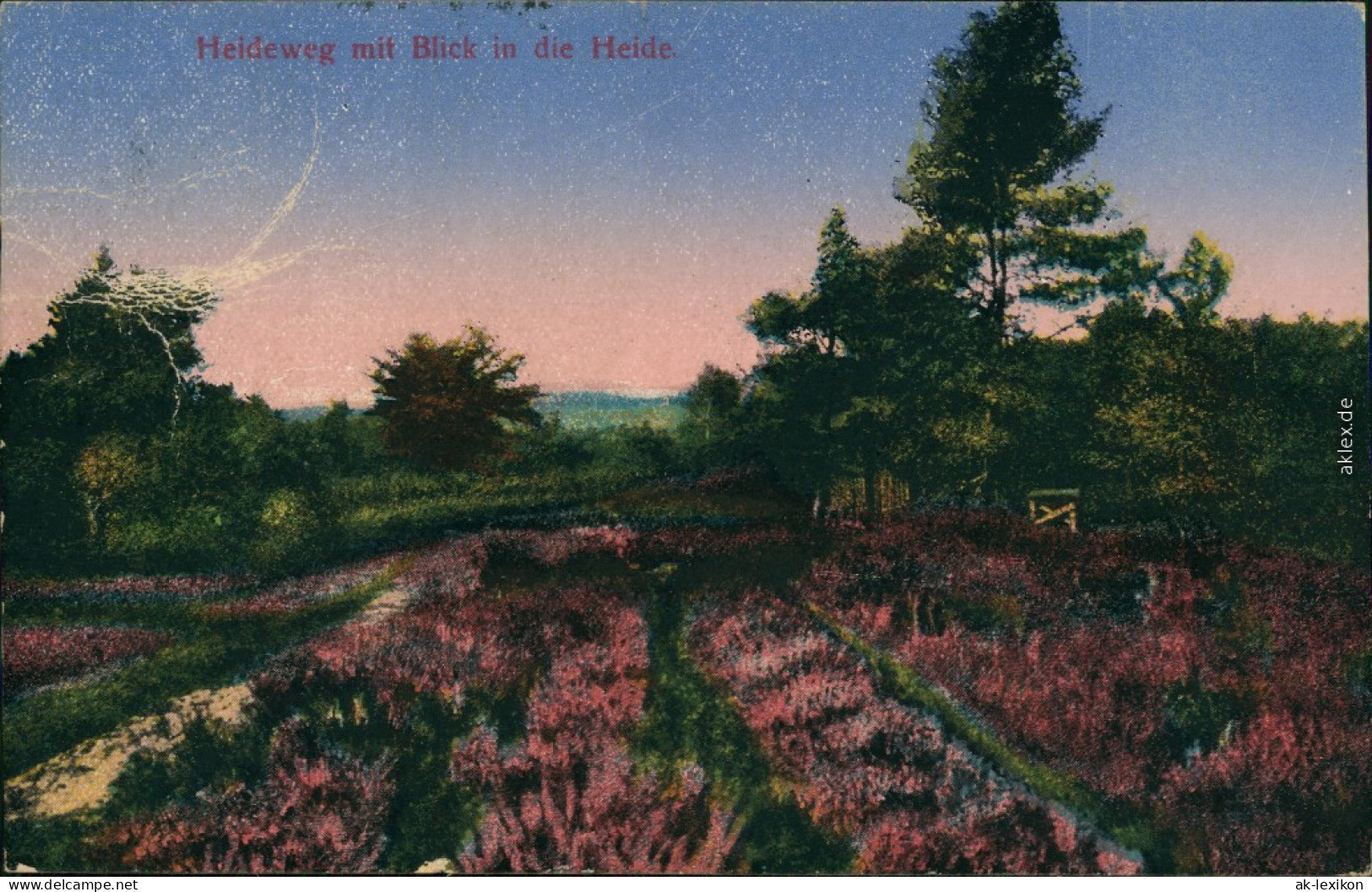Ansichtskarte  Heideweg, Lüneburger Heide 1908 - Non Classificati
