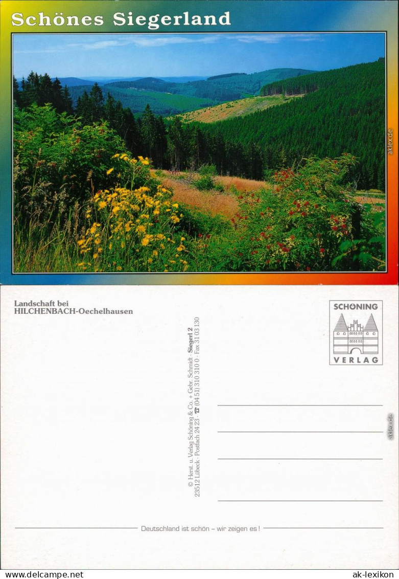 Ansichtskarte Hilchenbach Landschaft Bei Hilchenbach-Oechelhausen 1985 - Hilchenbach