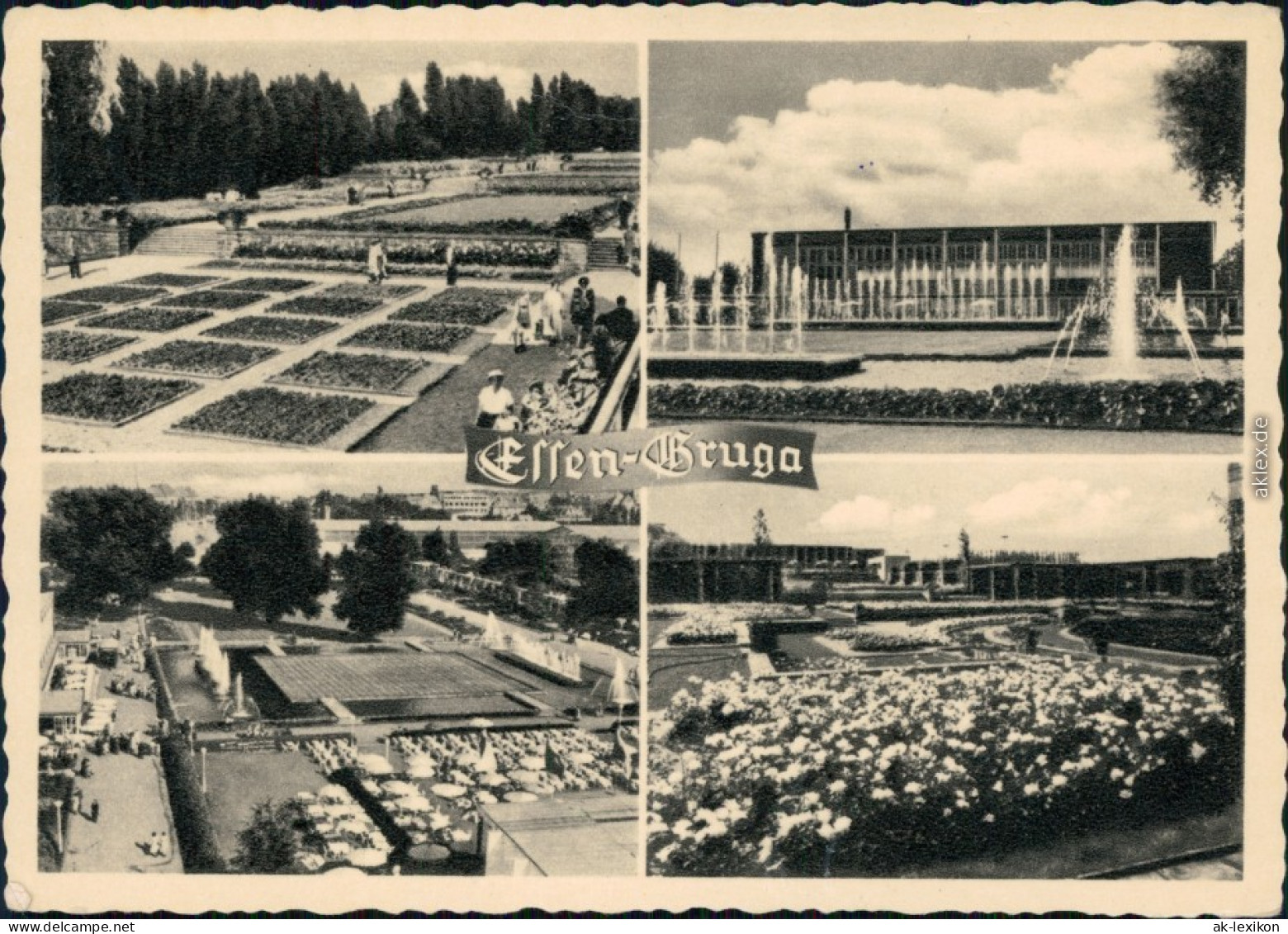 Ansichtskarte Essen (Ruhr) Grugapark Mit Springbrunnen Und Blumenbeeten 1961 - Essen