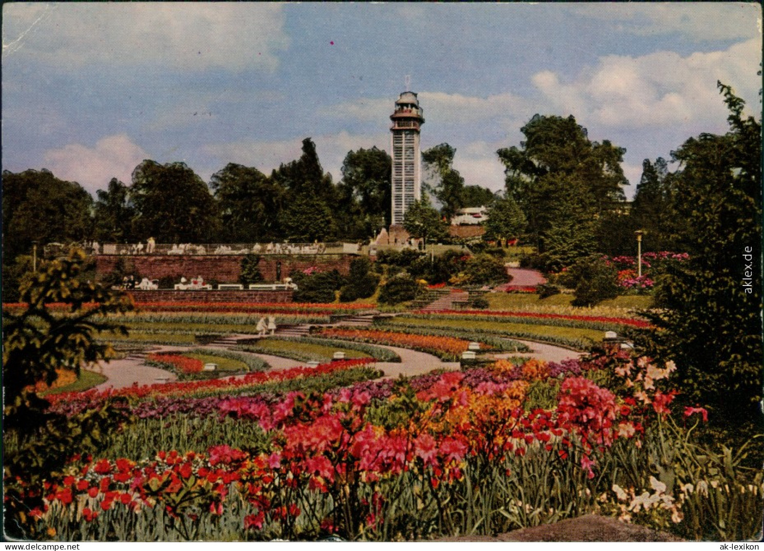 Ansichtskarte Essen (Ruhr) Grugapark Mit Aussichtsturm 1961 - Essen