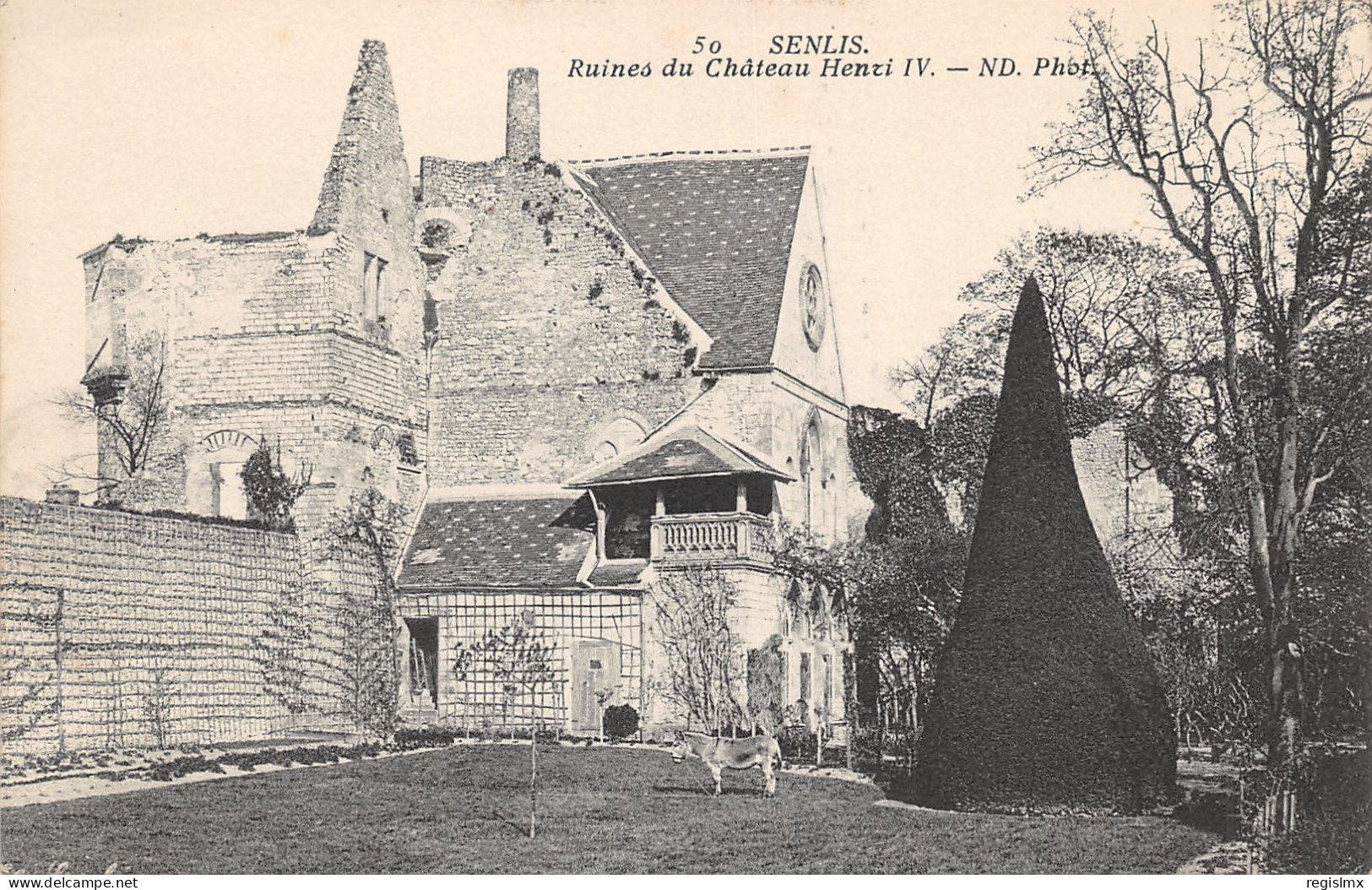 60-SENLIS-RUINES DU CHÂTEAU HENRI IV-N°354-B/0303 - Senlis