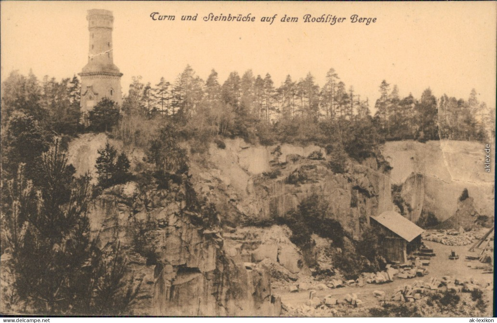 Ansichtskarte Rochlitz Aussichtsturm Und Steinbrücke - Rochlitzer Berg 1930 - Rochlitz