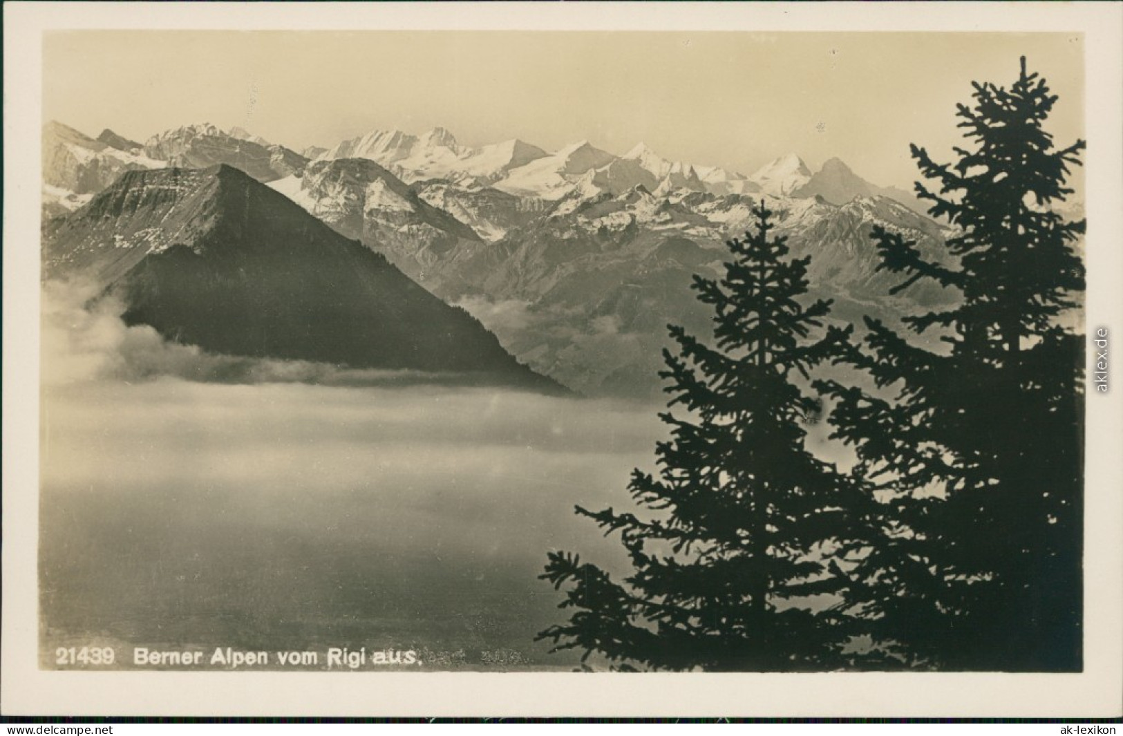 Ansichtskarte Arth SZ Berner Alpen Vom Rigi Kulm Aus Mit Nebel 1932 - Other & Unclassified