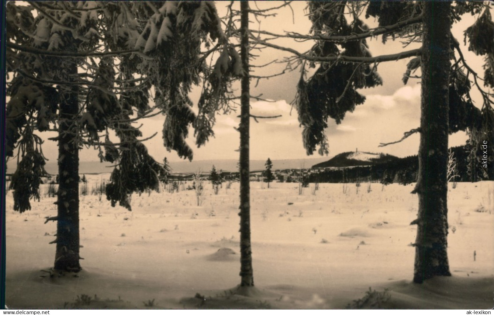 Ansichtskarte Altenberg (Erzgebirge) Wald, Blick Auf Die Stadt, Geising 1961 - Altenberg