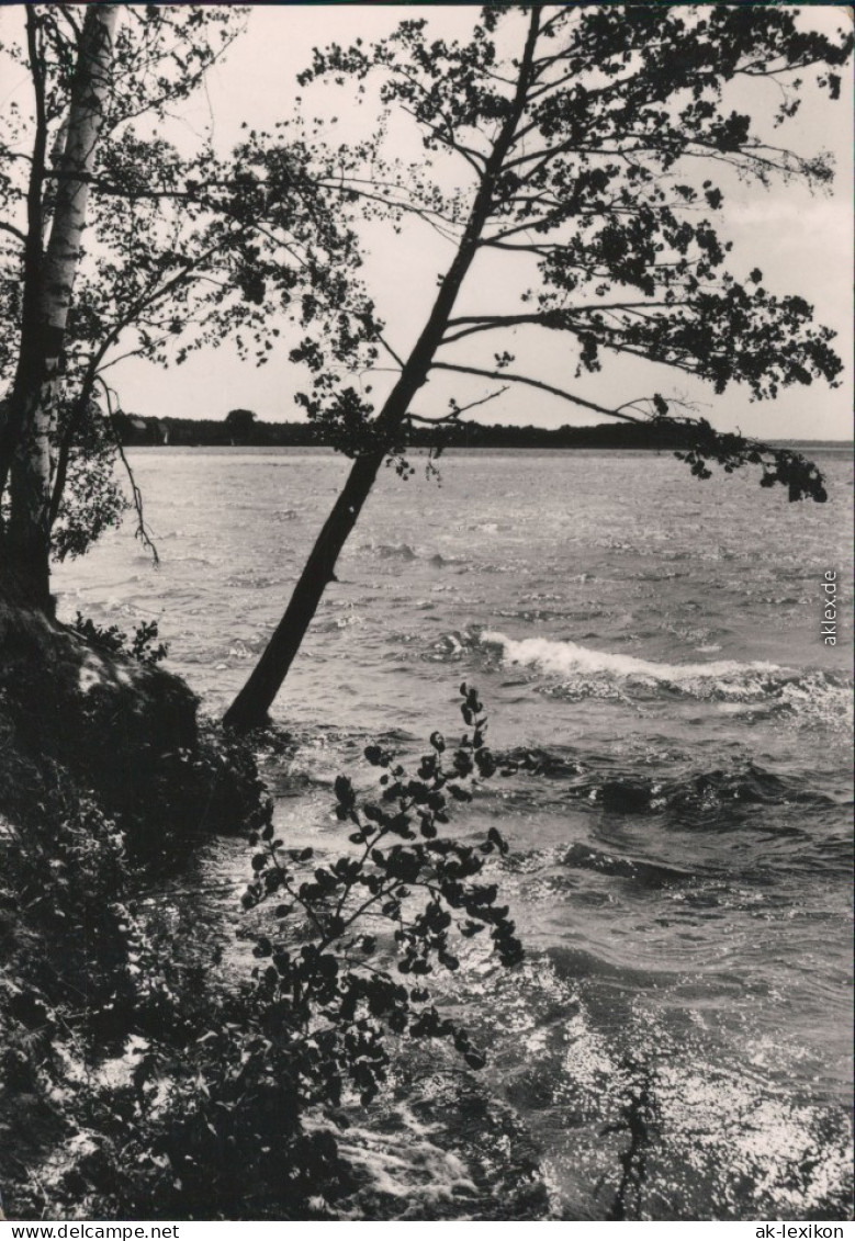 Ansichtskarte Diensdorf-Radlow Am Scharmützelsee 1968 - Andere & Zonder Classificatie