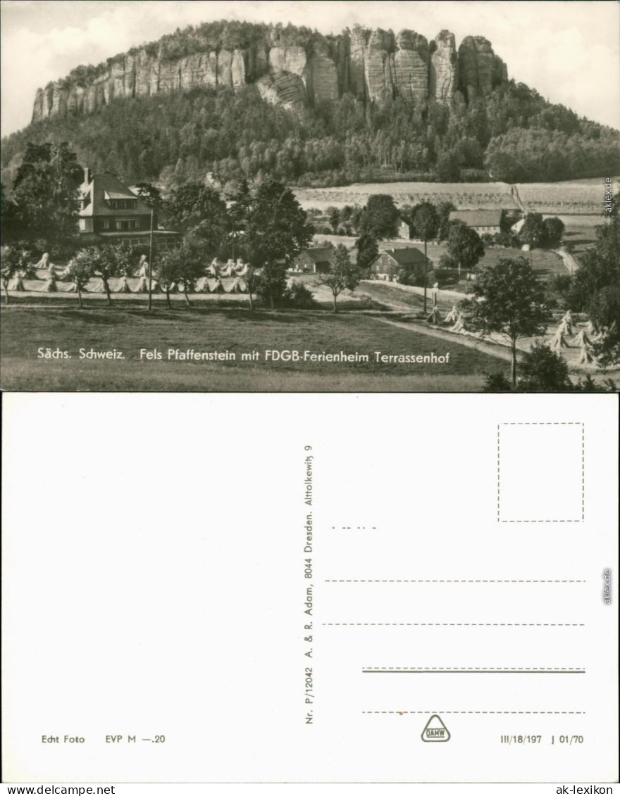 Pfaffendorf-Königstein (Sächsische Schweiz) Pfaffenstein  "Terrassenhof" 1970 - Königstein (Sächs. Schw.)