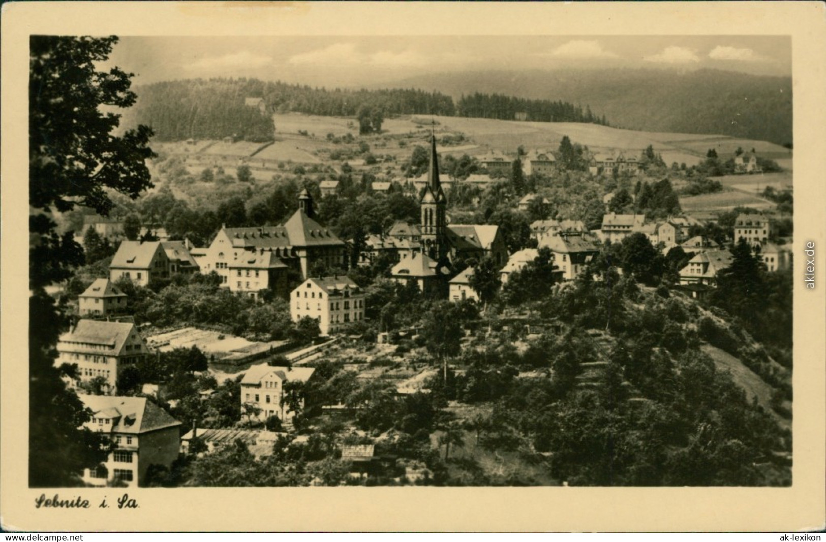 Ansichtskarte Sebnitz Blick Auf Die Stadt 1955 - Sebnitz