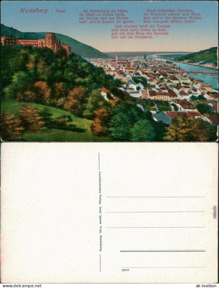 Heidelberg Panorama-Ansicht Mit Heidelberger Schloss - Zeichnung 1914 - Heidelberg