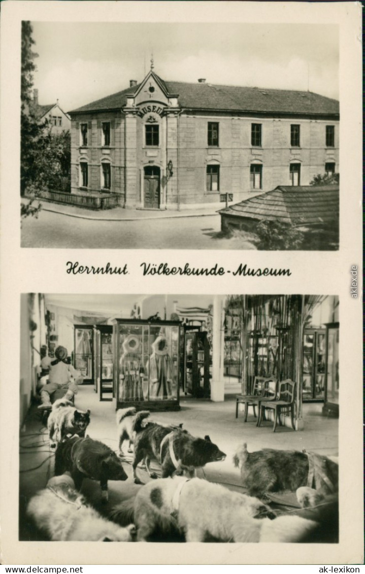 Ansichtskarte Herrnhut Museum - Außen- Und Innenansicht 1958 - Herrnhut