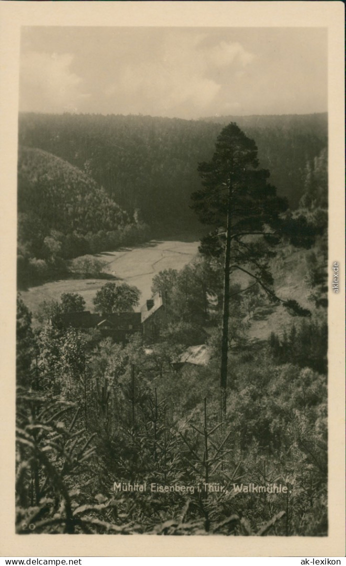 Ansichtskarte Eisenberg (Thüringen) Eisenberger Mühltal 1956 - Eisenberg