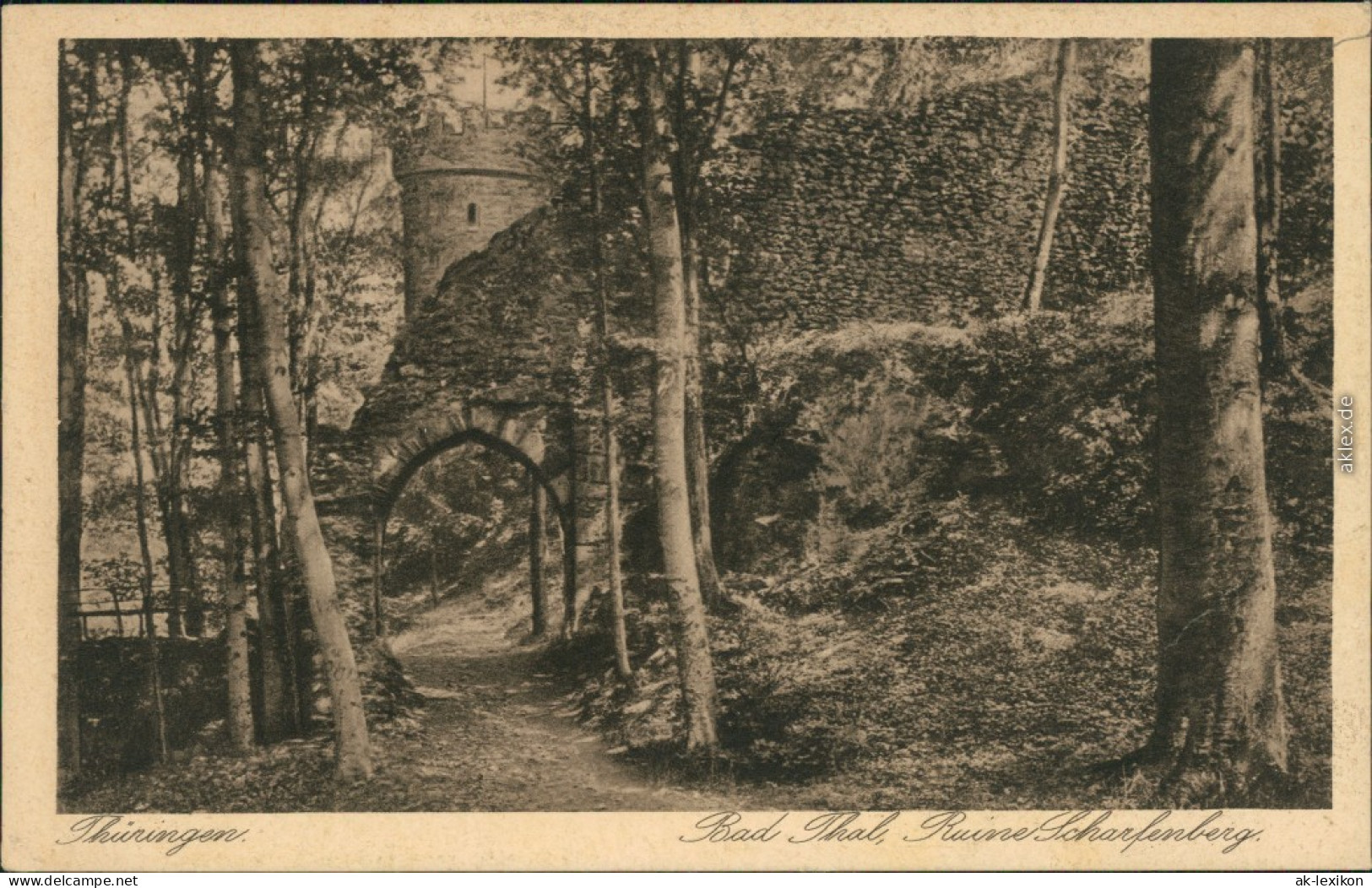 Ansichtskarte Bad Thal-Ruhla Ruine Im Wald 1929 - Other & Unclassified