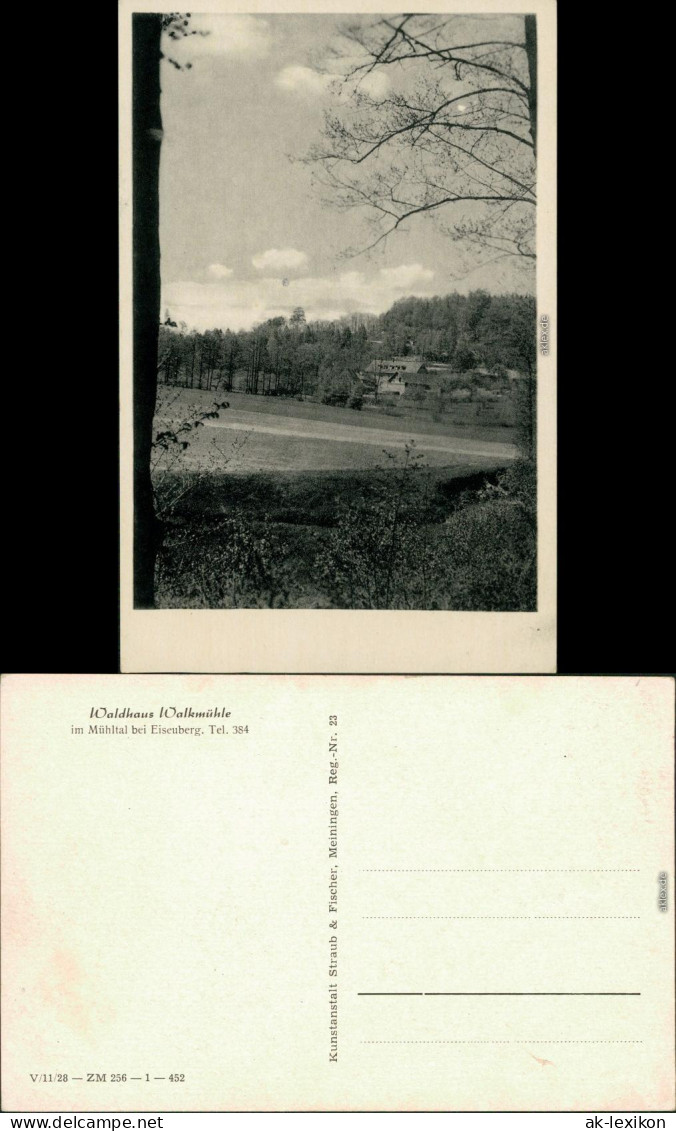 Ansichtskarte Eisenberg (Thüringen) Walkmühle Mit Weide 1956 - Eisenberg