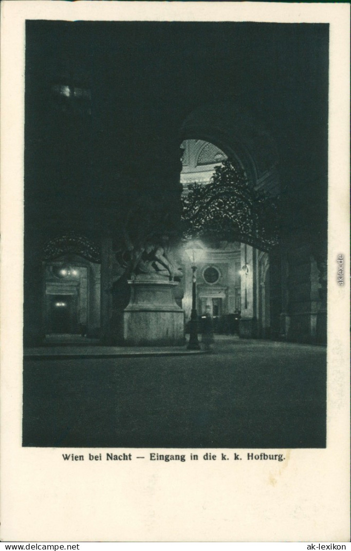 Ansichtskarte Wien Eingang In Die Hofburg 1918 - Andere & Zonder Classificatie