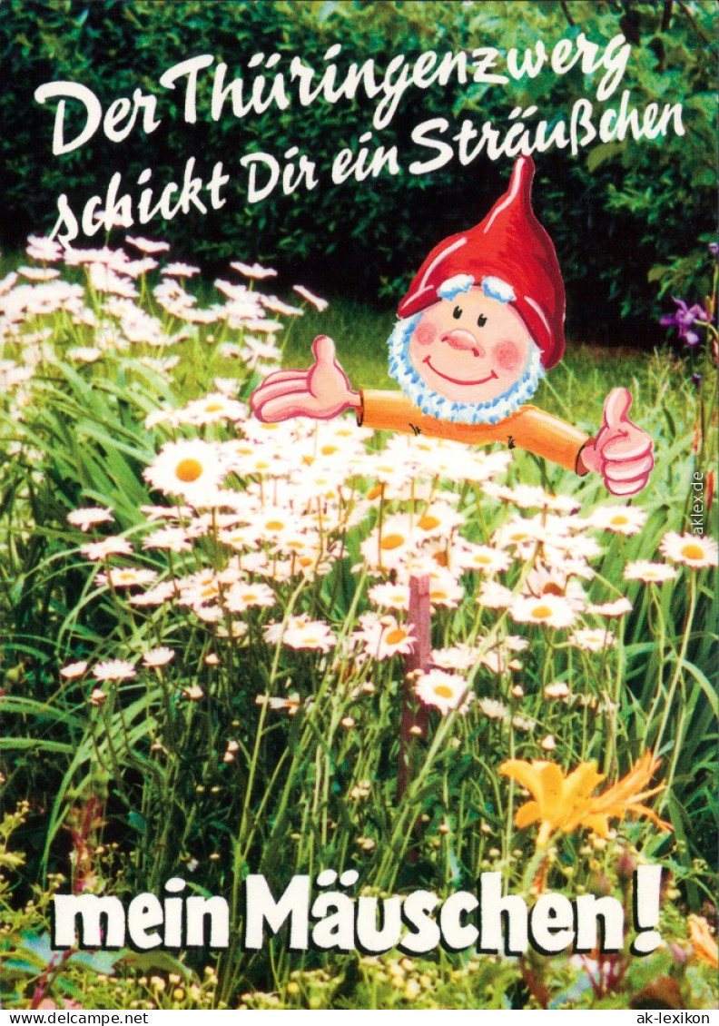 Ansichtskarte  Thüringenzwerge - Gänseblumenwiese 2001 - Humour