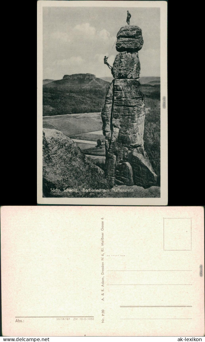 Pfaffendorf-Königstein (Sächsische Schweiz)  Barbarine Mit Kletterer 1956 - Königstein (Sächs. Schw.)