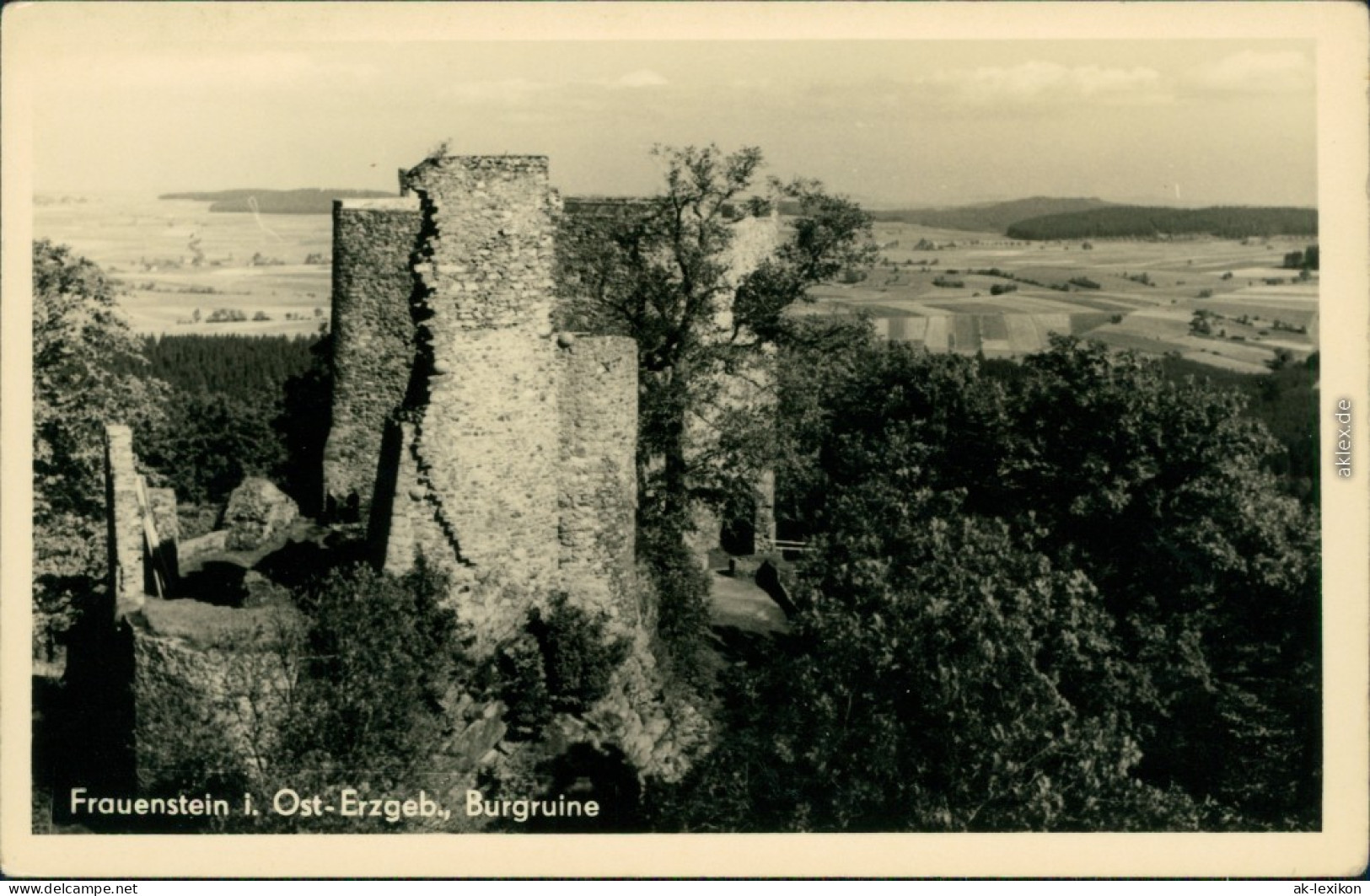Ansichtskarte Frauenstein (Erzgebirge) Schloß Und Burgruine 1955 - Frauenstein (Erzgeb.)
