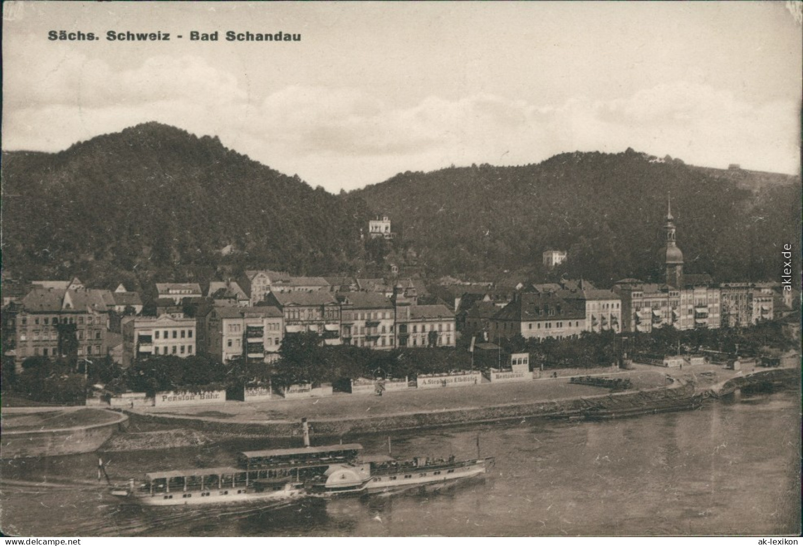 Ansichtskarte Bad Schandau Blick Auf Den Ort, Elbdampfer 1930 - Bad Schandau