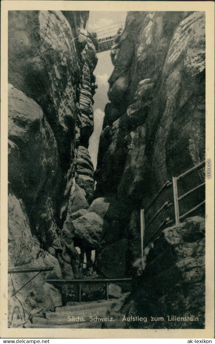 Königstein (Sächsische Schweiz) Der Steile Aufstieg Am Lilienstein G1957 - Bad Schandau