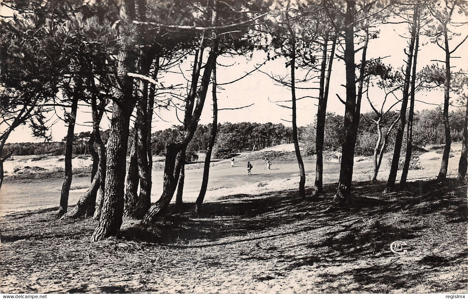 62-LE TOUQUET PARIS PLAGE-N°354-D/0283 - Le Touquet