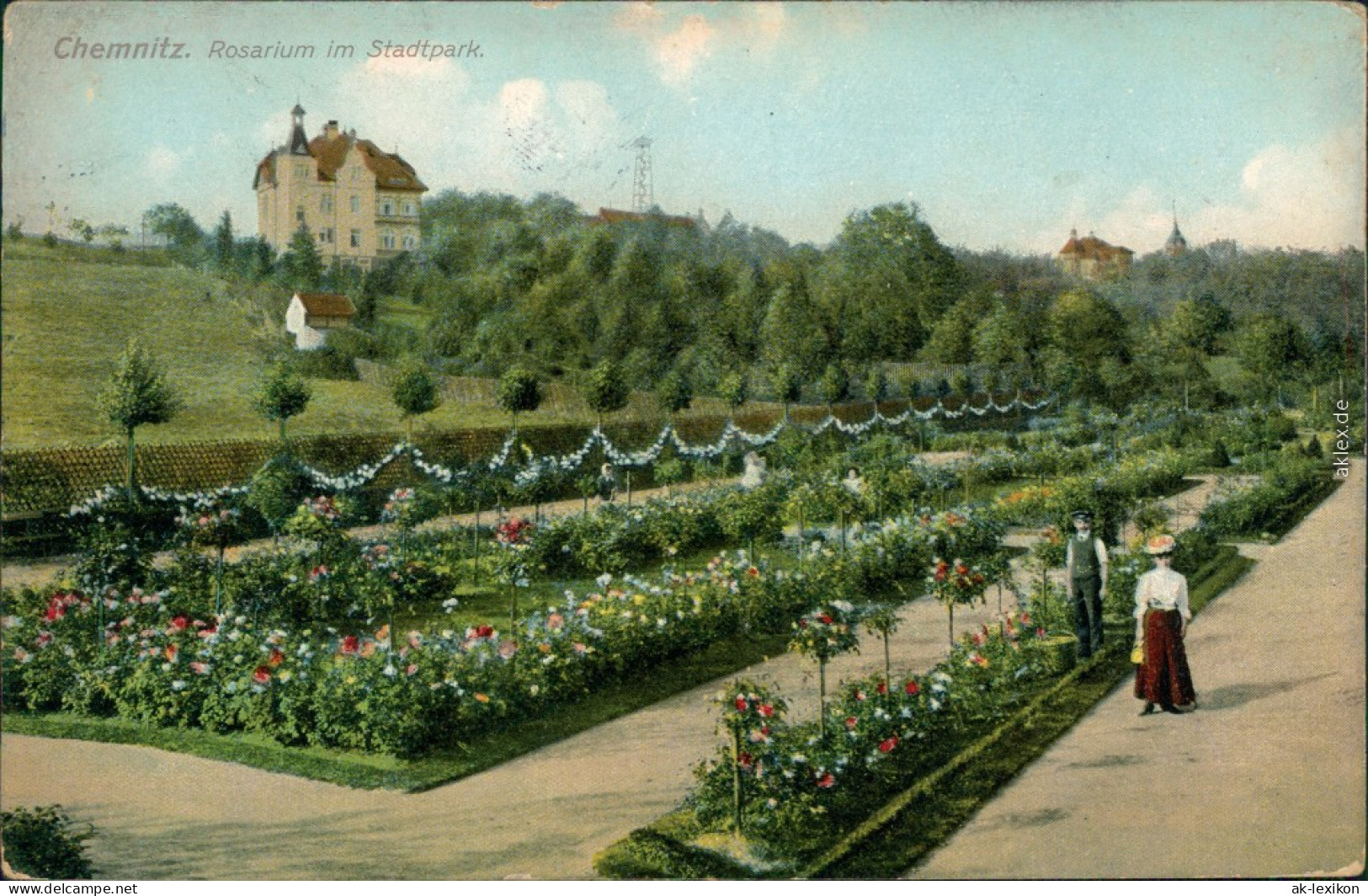Ansichtskarte Chemnitz Rosarium Im Stadtpark 1908 - Chemnitz