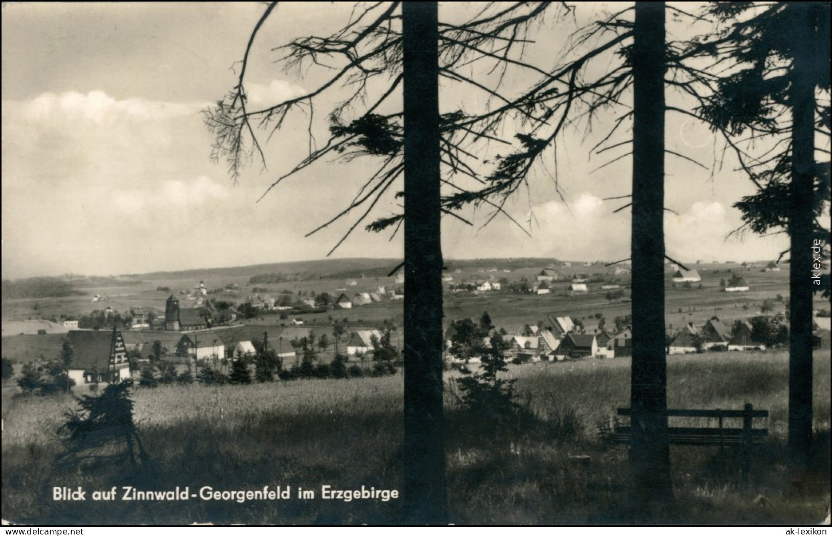 Zinnwald-Georgenfeld-Altenberg (Erzgebirge) Blick Auf Den Ort 1964 - Altenberg