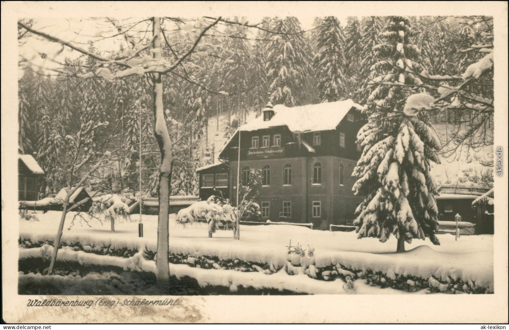 Ansichtskarte Waldbärenburg-Altenberg (Erzgebirge) Schäfermühle 1954 - Altenberg