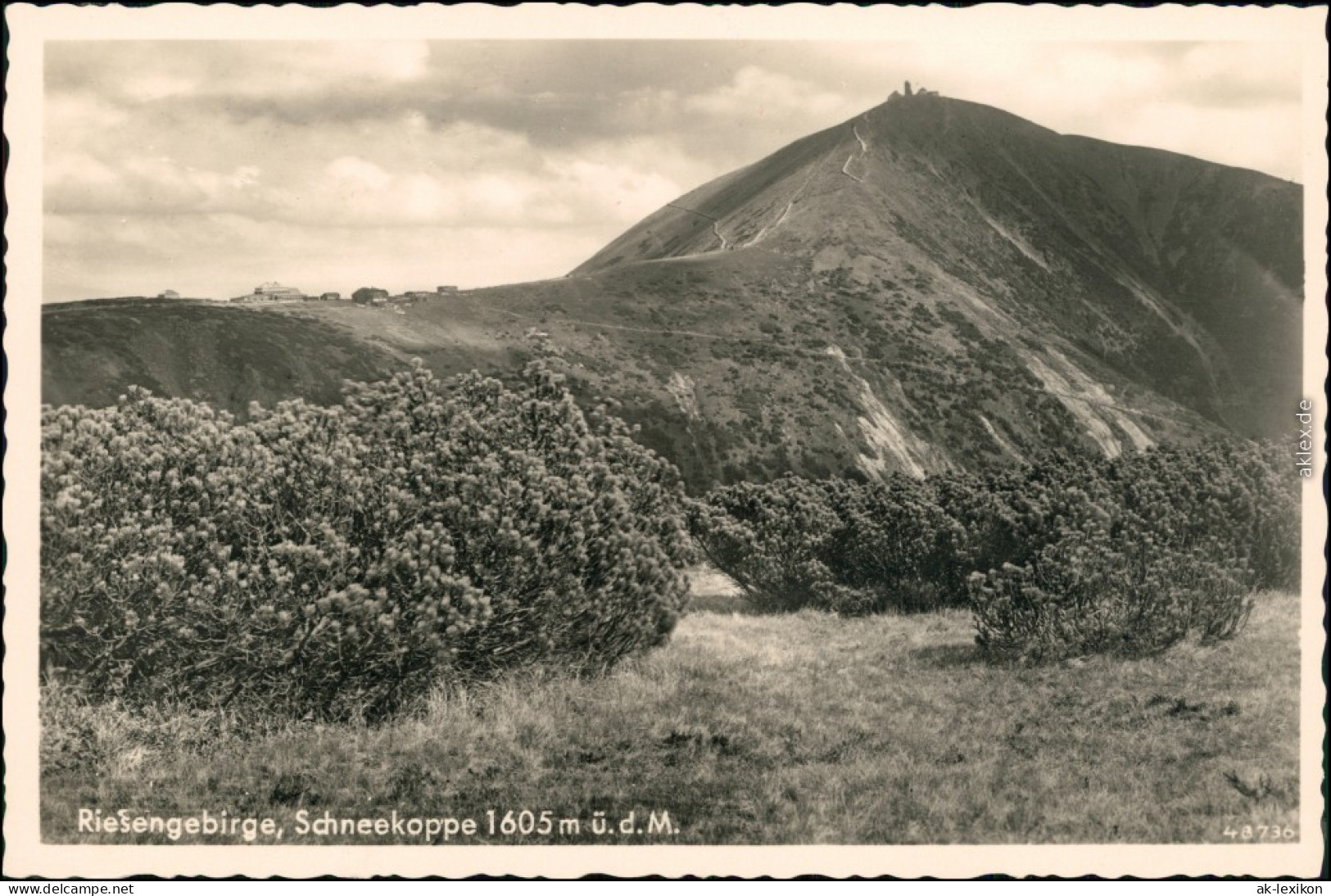 Ansichtskarte Krummhübel Karpacz Schneekoppe/Sněžka/Śnieżka 1934 - Schlesien