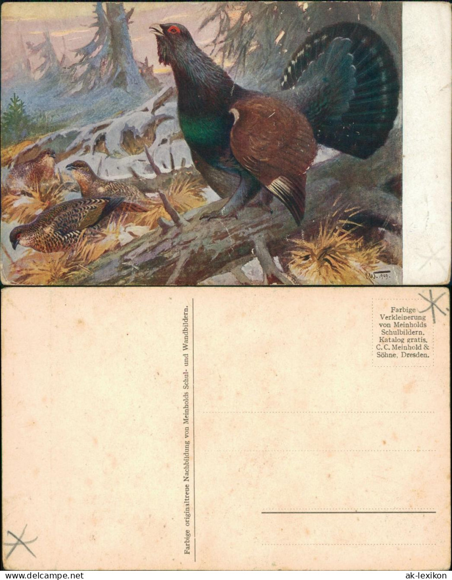 Ansichtskarte  Künstlerkarte V. KW - Rebhühner 1909 - Peintures & Tableaux