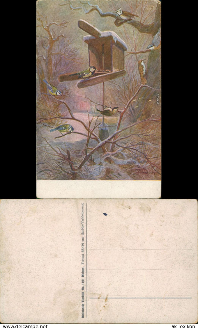 Künstlerkarte: Blaumeisen Im Winter Auf Zweigen Und Vogelhaus 1926 - Peintures & Tableaux