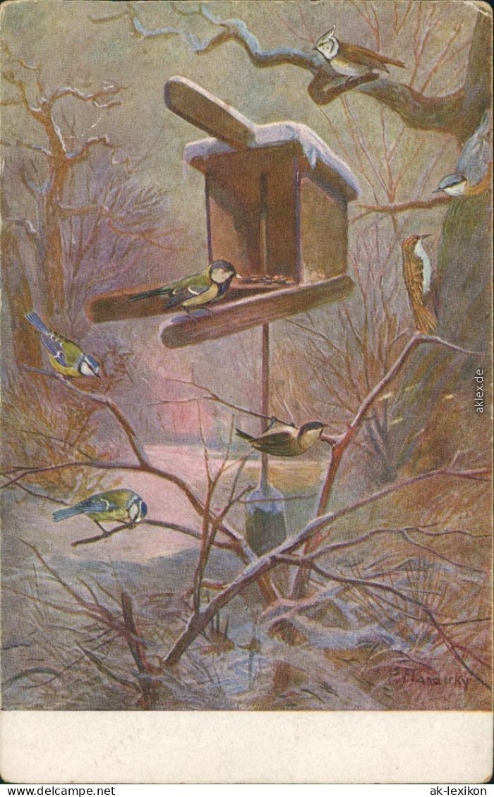  Künstlerkarte: Blaumeisen Im Winter Auf Zweigen Und Vogelhaus 1926 - Peintures & Tableaux