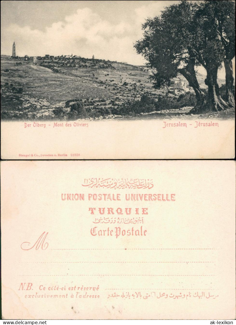 Jerusalem Jeruschalajim (רושלים) Mont Des Oliviers/Der Ölberg 1908  - Israel